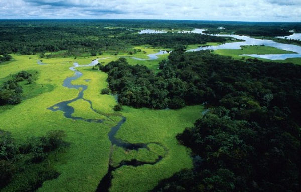 Foresta Amazzonica: all'asta 3 milioni di ettari destinati ad esplorazioni petrolifere