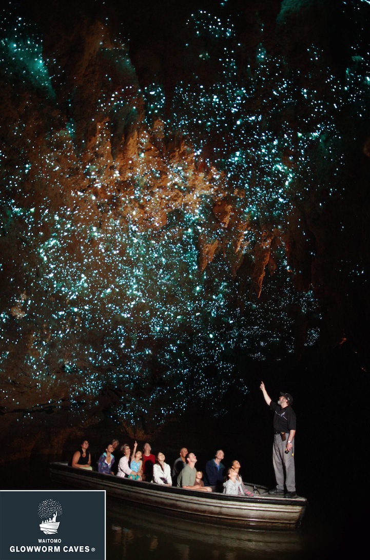 Nuova Zelanda: la grotta sembra un cielo stellato. Perchè?